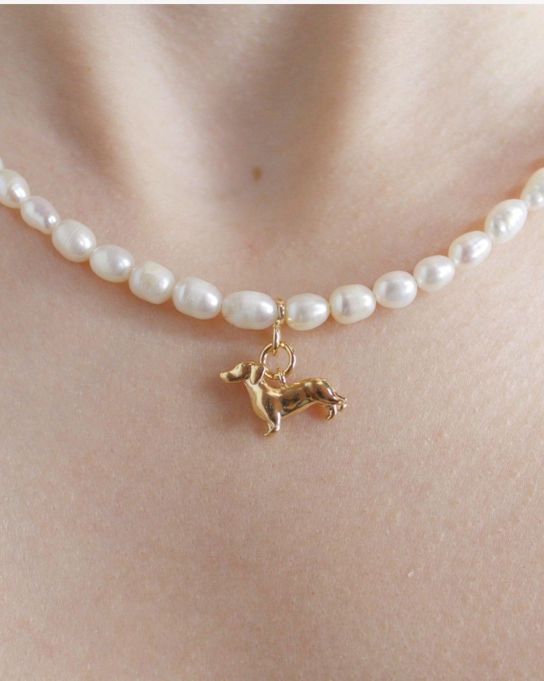 Pearl Necklace Dachshund